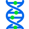 ng28Ȧ(Ϲ)Ʒ