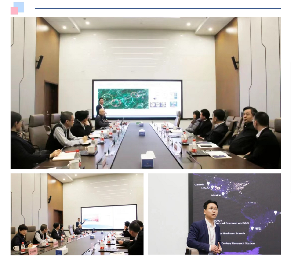 ng28Ȧ��(�Ϲ�)����Ʒ����������